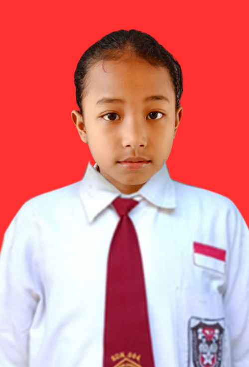 NOWELA.png