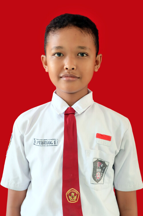 PRASETYO-FEBRIAN-ERMIANTO.jpg