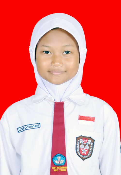 RISNI.jpg