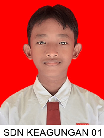 SULTHAN-SYAHRIL-ALBANY.jpg