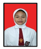 Safira.png