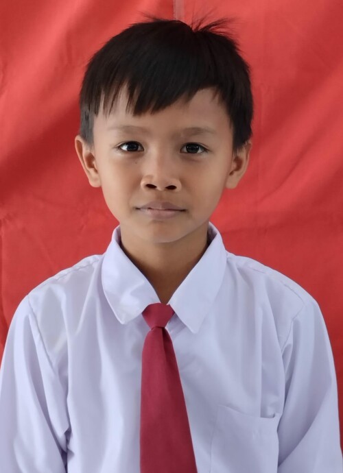 WILDAN22a161fcd7d79724.jpg