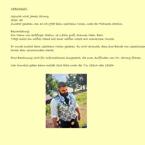 vermisstenanzeige.jpg