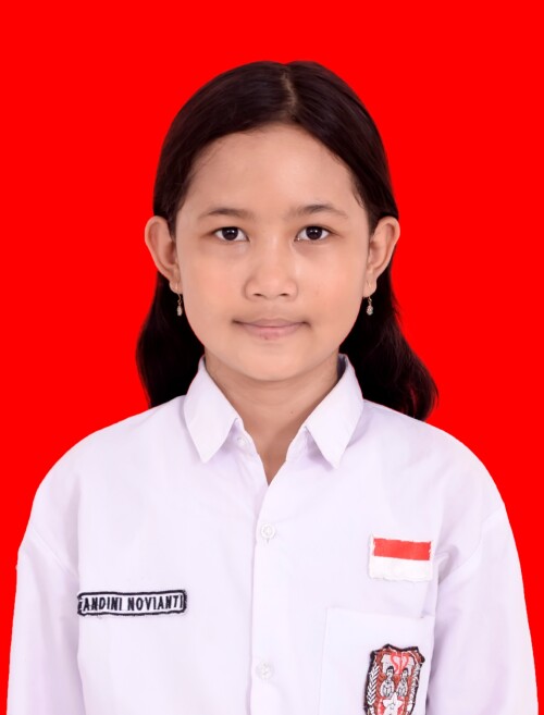 10.-ANDINI-NOVIANTIcfae9bb38d7e7426.jpg