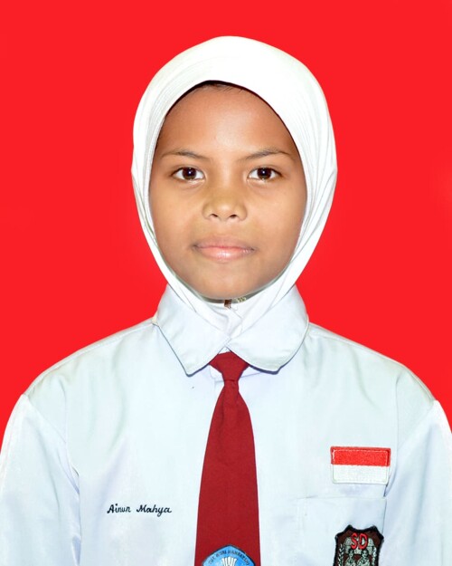 2-AINUN.jpg