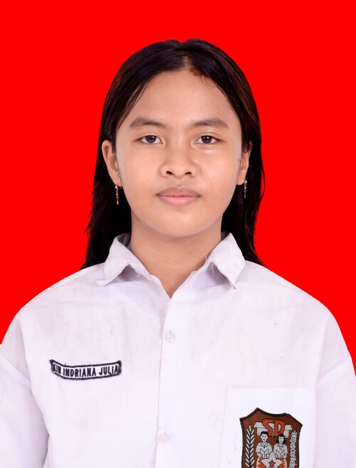 20.-IIN-INDRIANA-JULIA19e0954775fb481b.jpg
