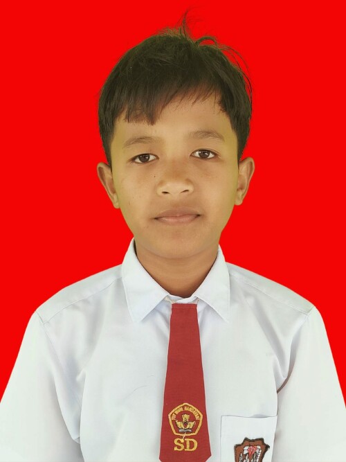 3373d9bb9081953d7a.jpg