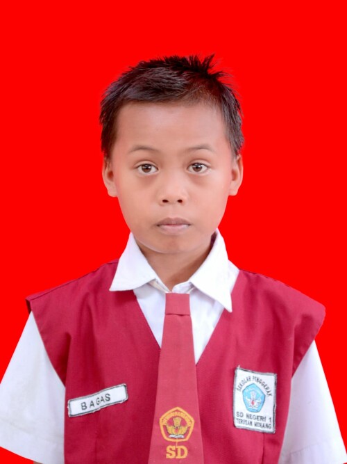 7_BAGAS-SAPUTRA.jpeg