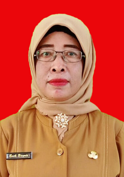 B-ENIK.jpg