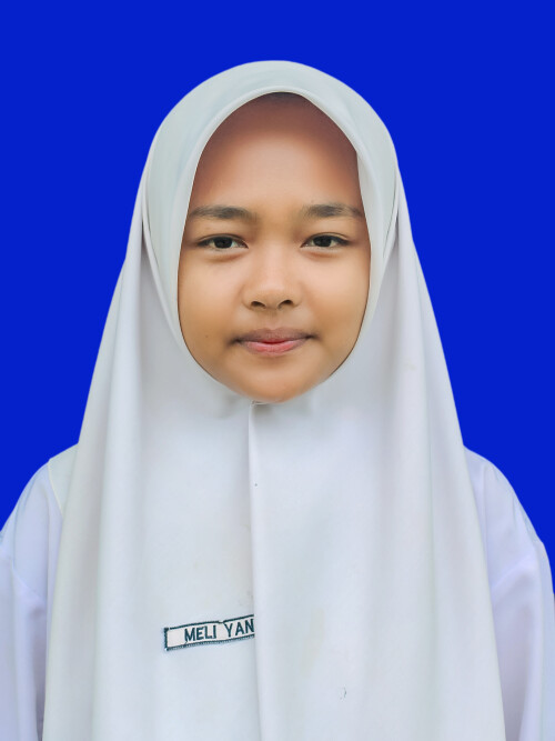 MELI-9B.jpg