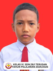 NASUL.png