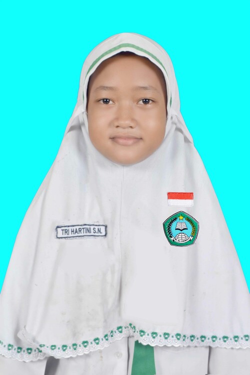 TRI-HARTINI-SEPTI-NINGRUM.jpg