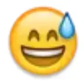 image17bc195f794695bf.webp