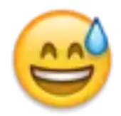 image1c8c07300e134fc0.webp