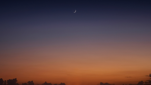 image4045f0b9ababe2f6.png