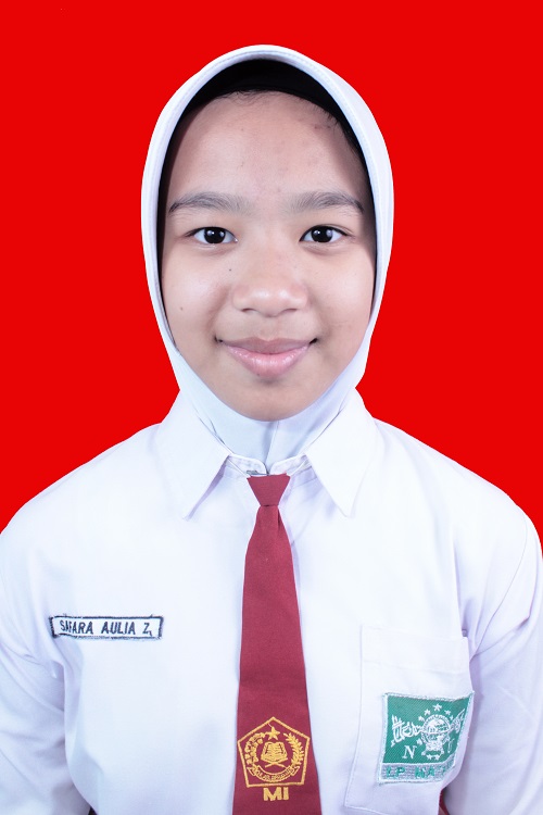 safar.jpg