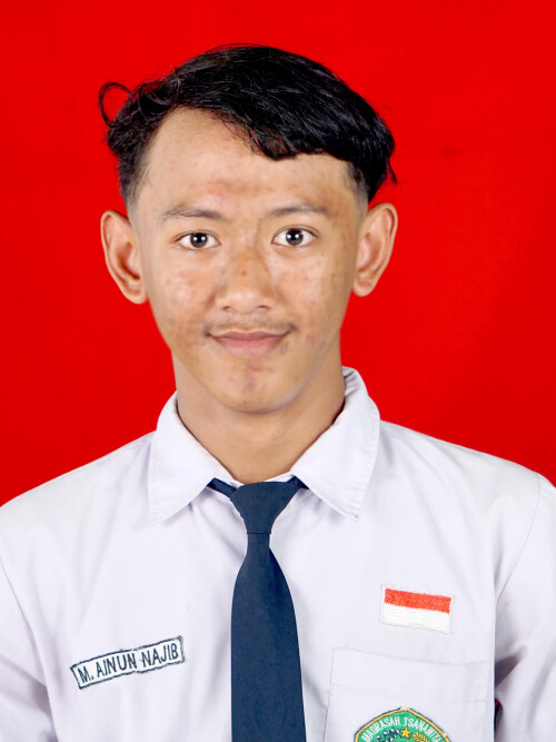 23.-Muhammad-Ainun-Najib.jpg