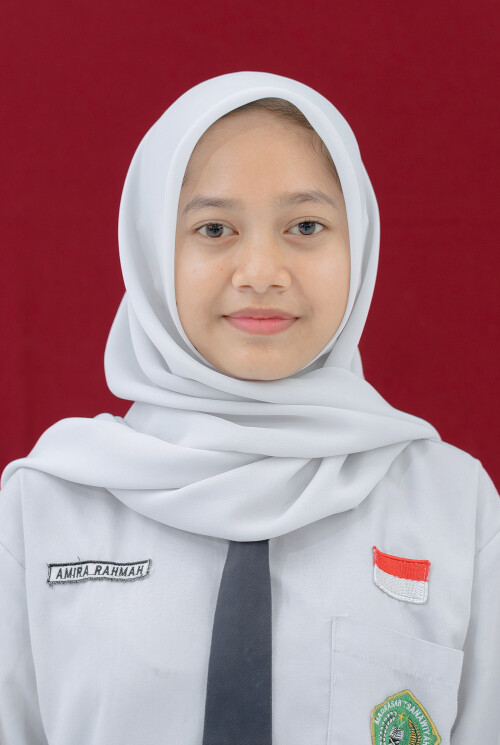 AMIRA.jpg