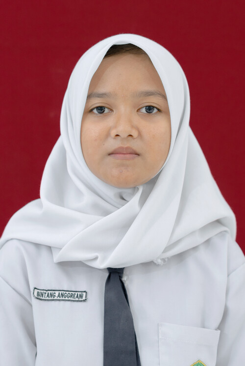 BINTANG.jpg