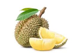 Foto-Durian.jpeg