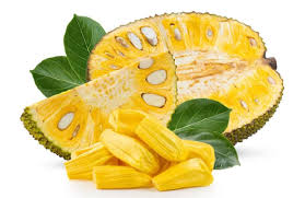 Foto-Nangka.jpeg
