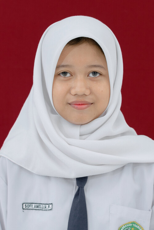 SOFY.jpg
