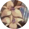 blobef8b84f65254cd19.png
