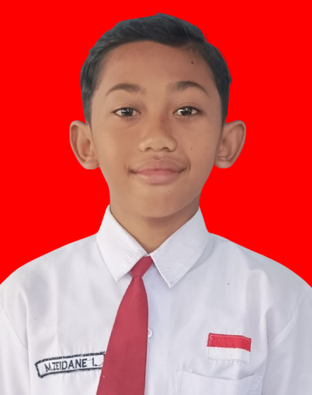 zidan-removebg-preview.png