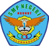 snesaa-logo.png