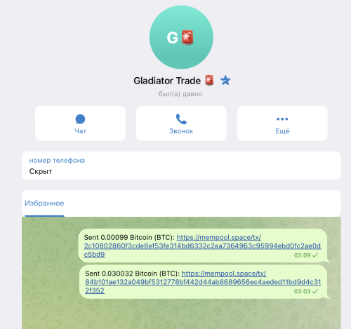 GladiatorTrade---EDINSTVENNYI-SKRISOT-POSLE-BLOKIROVKI-SKAMEROM.png
