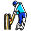 cricket.png