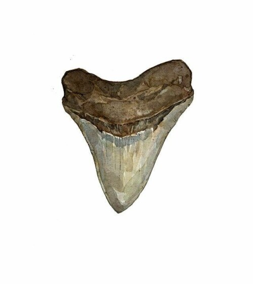 Tooth-of-the-Depths.jpg