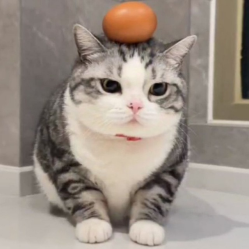 image6988b59315dd0c2c.png