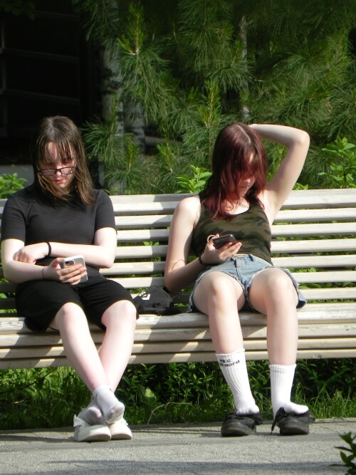 1000005391126d446bbf433025.jpg