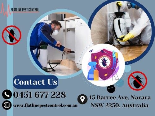 Flatline-Pest-Control---Cockroach-Control-Central-Coast.jpg