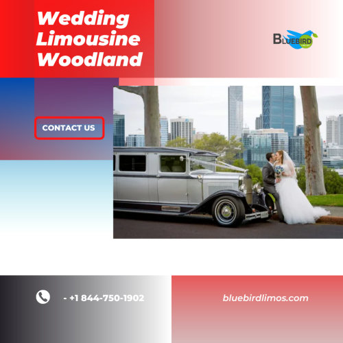 Wedding-Limousine-Woodland.png
