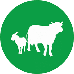 logotabqur.png