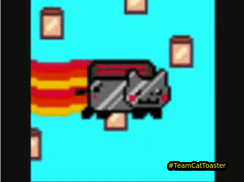 nyan-cat-toaster.gif