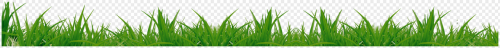 4385-png-300.png