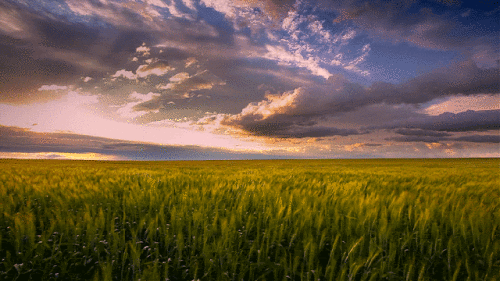 59d28-asset-14921-zero.gif