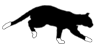 cat-small.gif