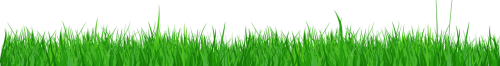 clipart-grass-png-format-18.png