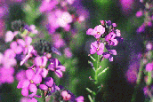 e136c1b9e20bafbfb08be2bd26xp-2.gif