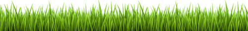 grass.png