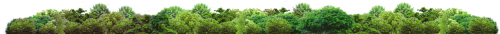 lesopolosa.png