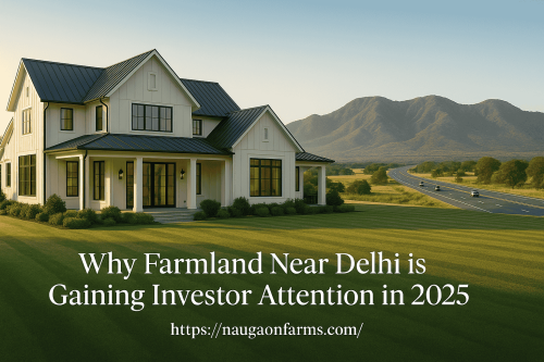 20250616_1332_Luxurious-Farmhouse-Oasis_simple_compose_01jxvw3ffdff9v1dcmz1g9mwba-2.png