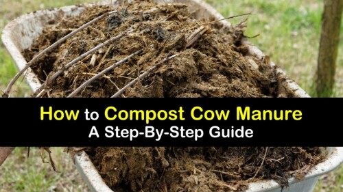 Cow-Manure-Organic-Fertilizer-5-Kg1.jpg