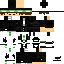OSNOVNOI-SKIN.png