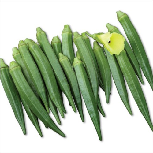 Green-short-bhendi-seeds1.jpg