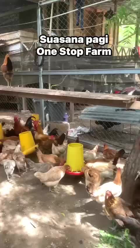 WhatsApp-Video-2025-06-19-at-20.44.43.mp4